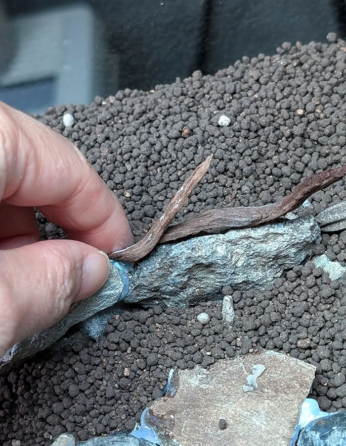 Aquascaping steps - PRIMAL BUST - IAPLC 2025 Silver Prize - Katsuki Tanaka / Japan